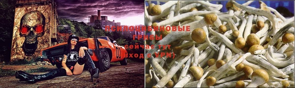 бутират Армянск