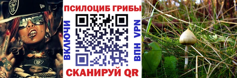 Галлюциногенные грибы мицелий Острогожск